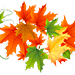 Раскраски осенние листья - распечатать, скачать бесплатно