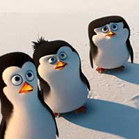 Раскраски пингвины - распечатать, скачать бесплатно