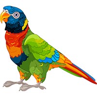 Раскраски попугаи - распечатать, скачать бесплатно