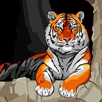 Раскраски тигры - распечатать, скачать бесплатно