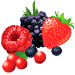 Раскраски ягоды - распечатать, скачать бесплатно