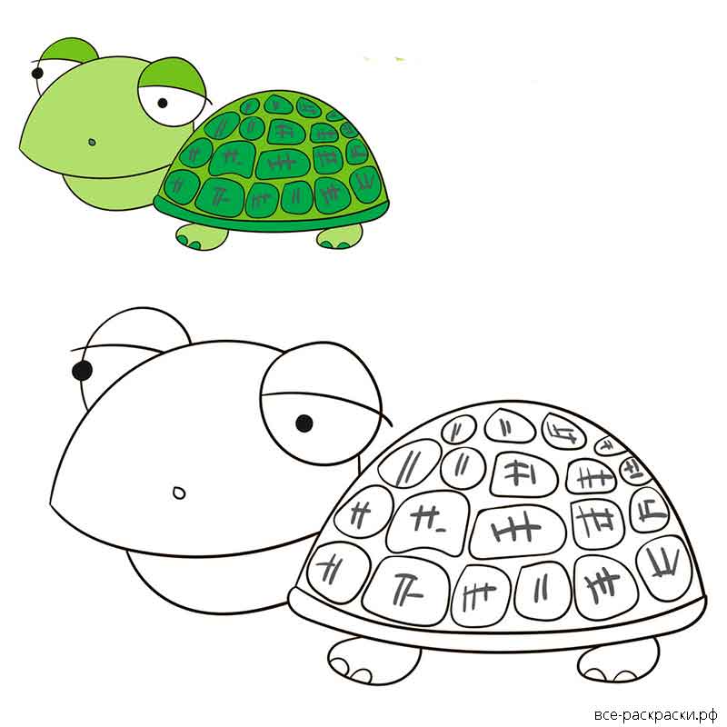 Черепаха распечатать. Черепаха раскраска для детей цветные. Раскраска черепаха для взрослых. Раскраска черепаха в очках. Глупая раскраска