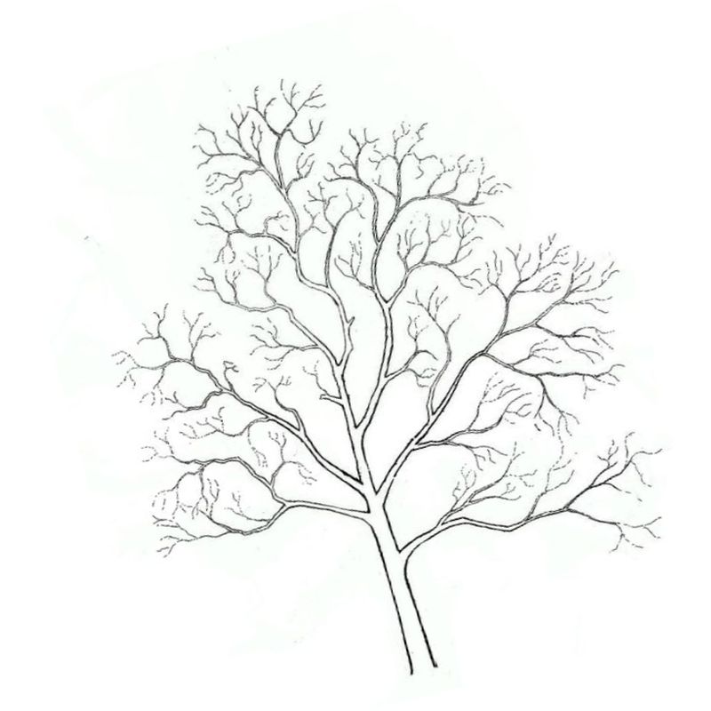 прекрасное дерево без листьев - распечатать, скачать бесплатно