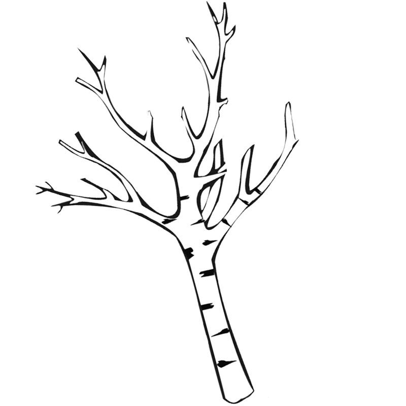 ствол дерева березы без листьев - распечатать, скачать бесплатно
