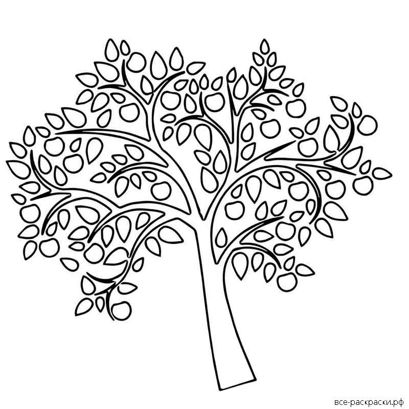 Как можно раскрасить 5 листочков. Дерево раскраска. Листья деревьев шаблоны. Листья деревьев раскраска. Дерево яблоня раскраска.