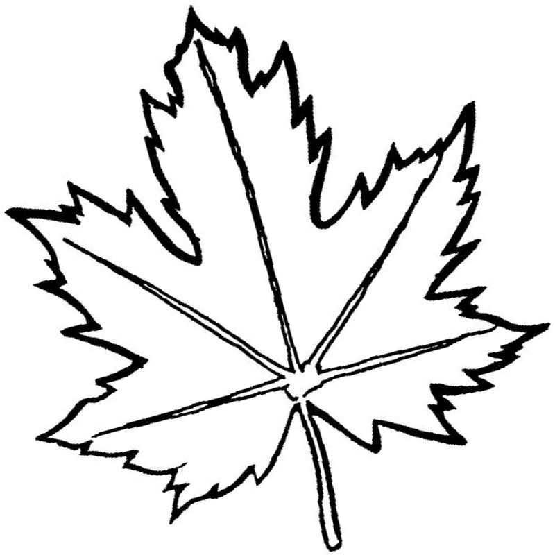 канадский кленовый лист - распечатать, скачать бесплатно