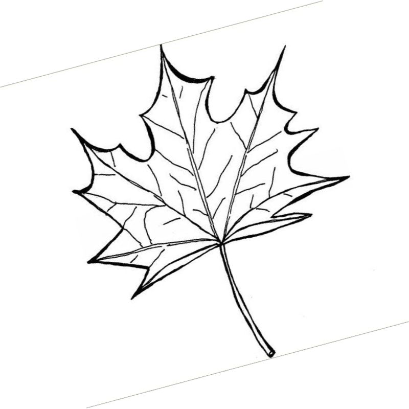 кленовый листок на земле - распечатать, скачать бесплатно