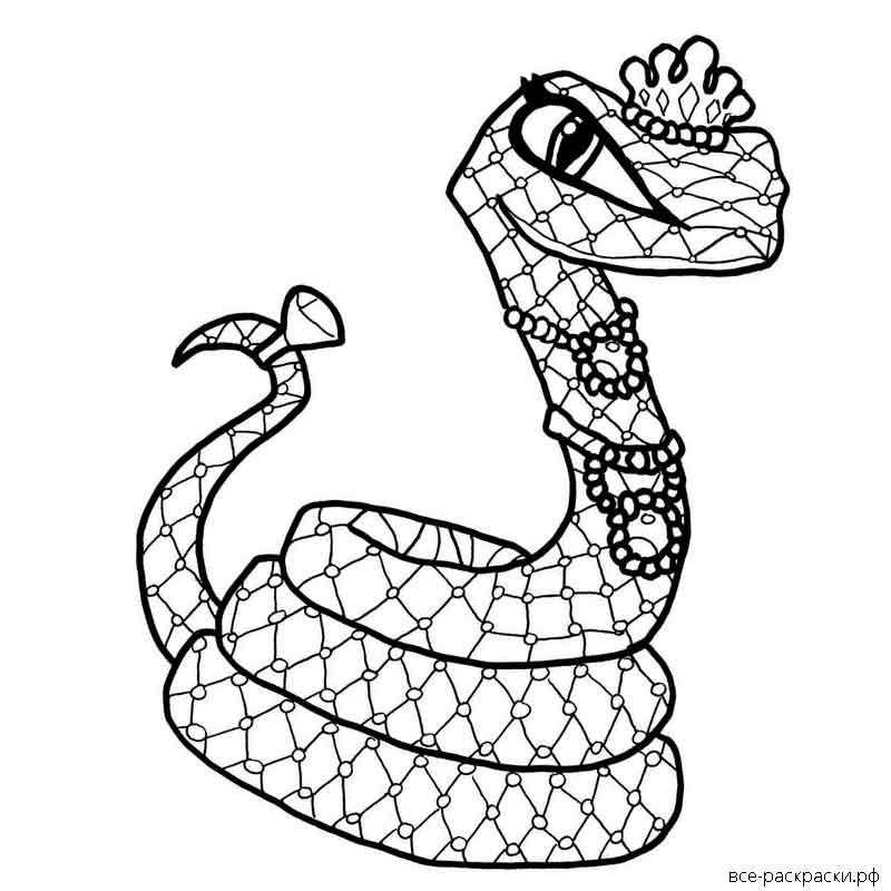 Раскраски змей распечатать. Змея раскраска. Раскраски змей. Разукрашка змея. Змея раскраска для детей.