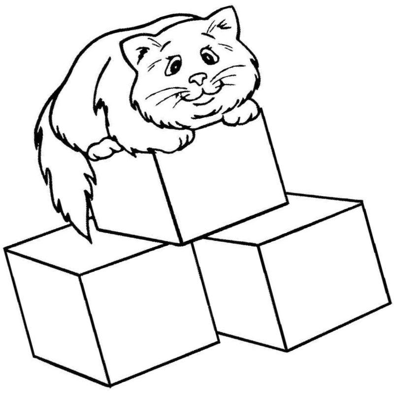 кубики и кот - распечатать, скачать бесплатно