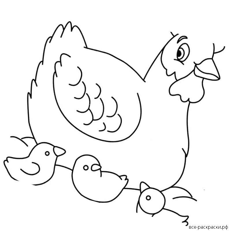 Раскраска курочки для детей 3 4 лет. Курица раскраска. Курица раскраска для детей. Курочка раскраска для детей. Раскраска куры.