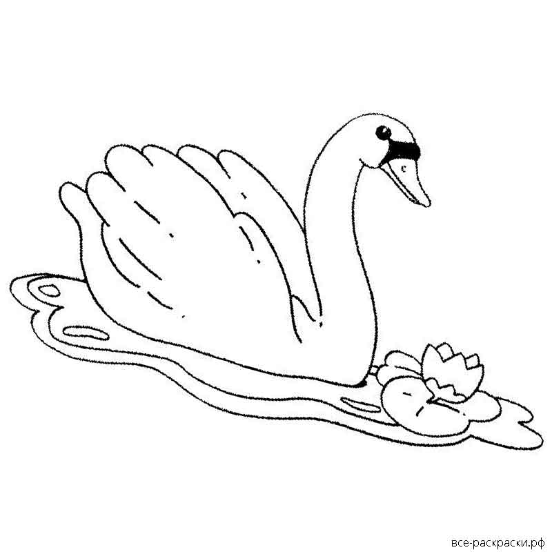 Распечатать картинку лебедь. Лебедь раскраска. Лебедь раскраска для детей. Лебедь детская раскраска. Лебеденок раскраска.