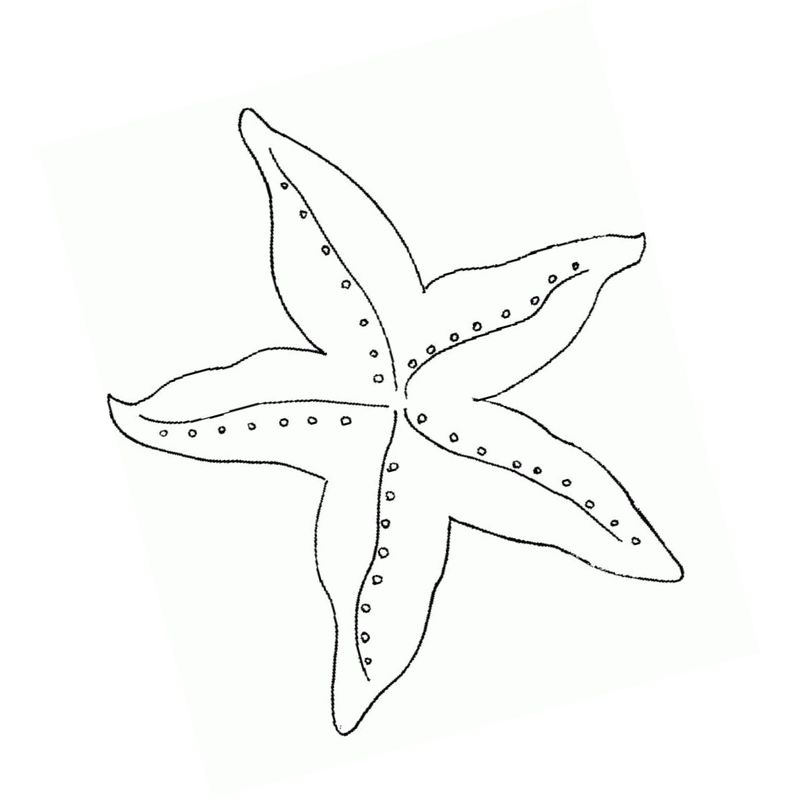 морская звезда морской обитатель - распечатать, скачать бесплатно