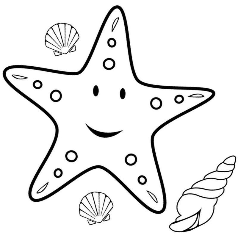 морская звезда в море - распечатать, скачать бесплатно