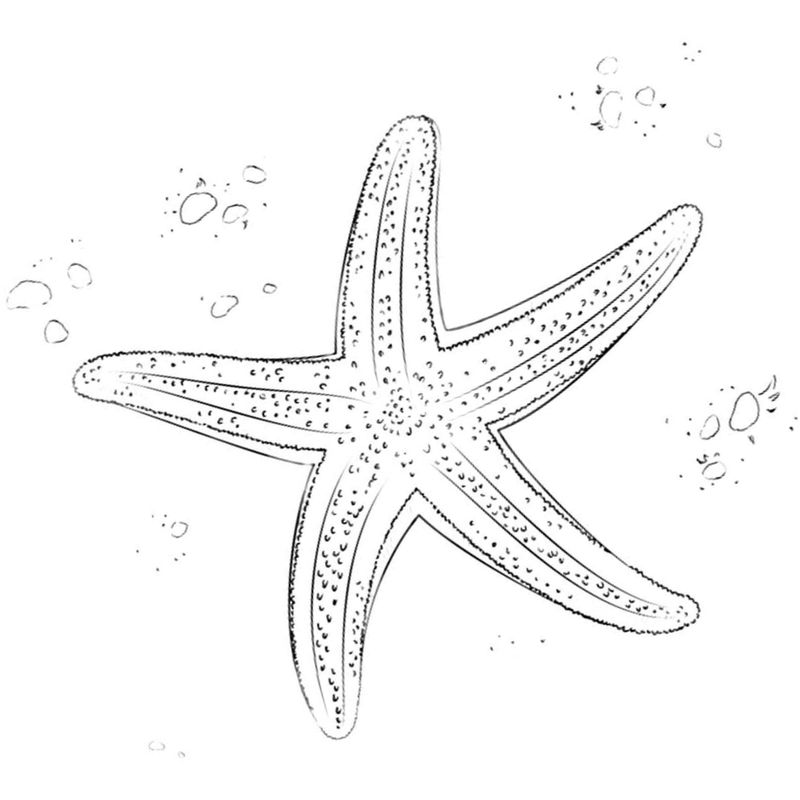 необычная морская звезда - распечатать, скачать бесплатно