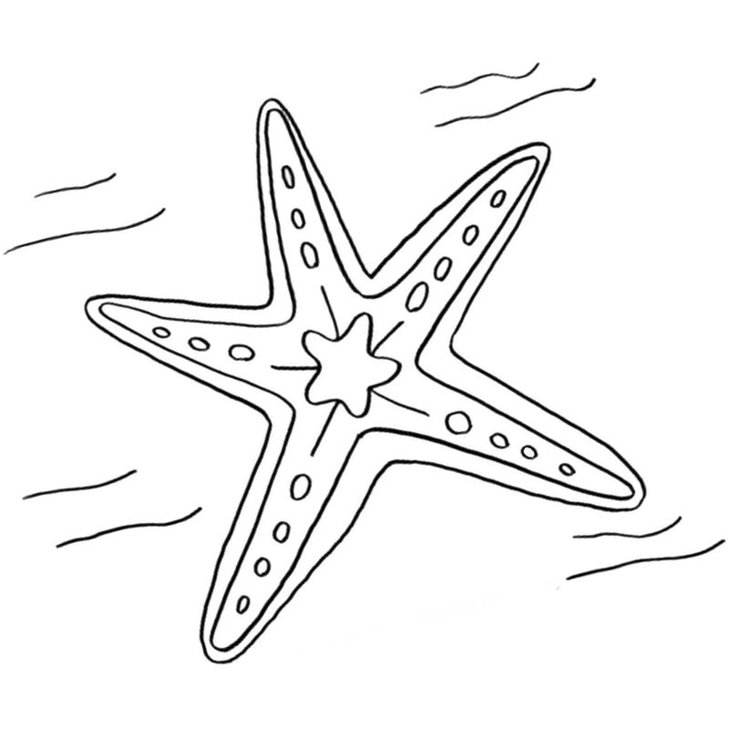 простая морская звезда - распечатать, скачать бесплатно