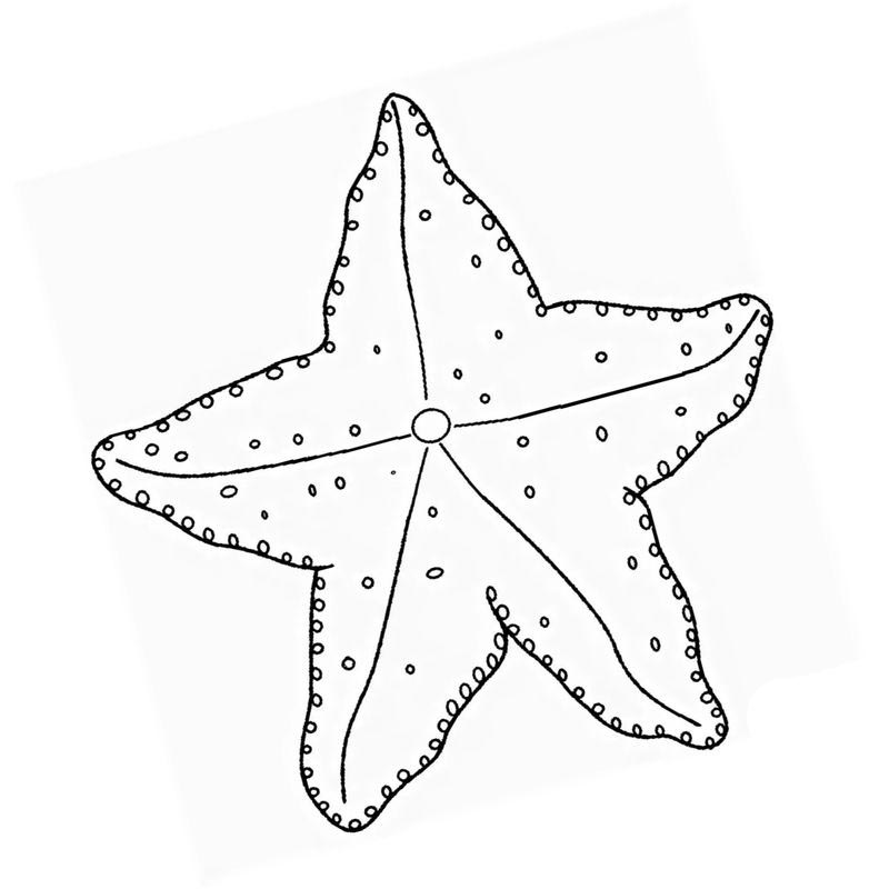 толстая морская звезда - распечатать, скачать бесплатно