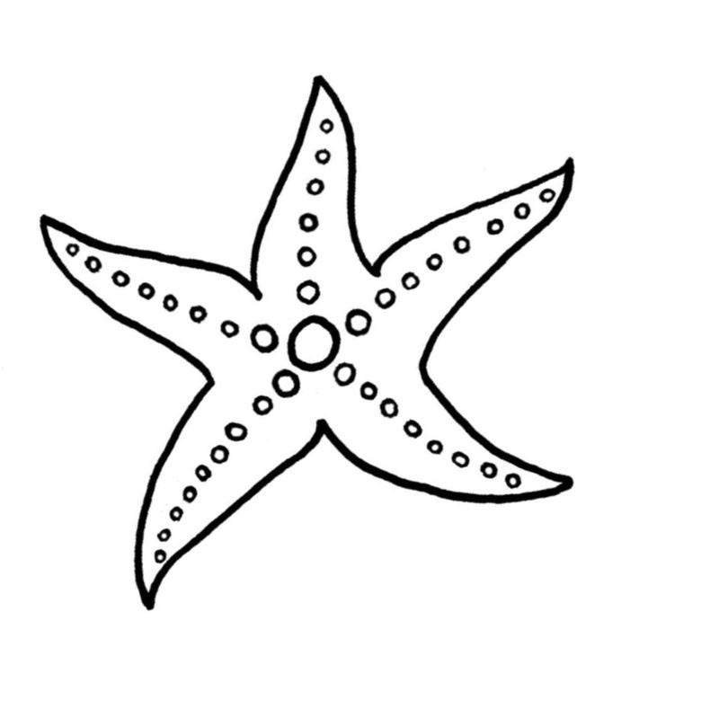 великолепная морская звезда - распечатать, скачать бесплатно